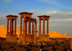 IS đã kiểm soát thành cổ Palmyra tại Syria