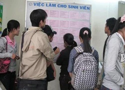 Kỹ sư, cử nhân đôn đáo kiếm kế sinh nhai