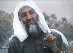 Những quyển sách 'gối đầu" của trùm khủng bố Bin Laden