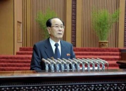 Ông Kim Yong-nam thay lãnh đạo Kim Jong-un thăm Nga