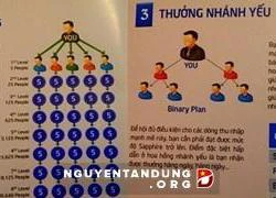 Phát hiện thêm tổ chức Vital Group kinh doanh đa cấp trái phép?