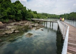 Pulau Ubin &#8211; điểm đến không thể bỏ lỡ khi du lịch Singapore