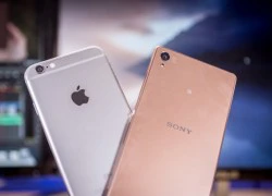 Sony lãi lớn nhờ iPhone 6, Galaxy S6