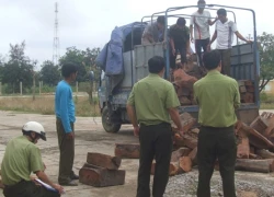 Thâm nhập đường dây buôn lậu gỗ trắc từ Campuchia về Việt Nam