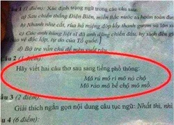 Thi &#8220;dịch&#8221; phương ngữ: Sao phải xôn xao?