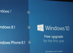Windows 10 không còn cho nâng cấp miễn phí từ bản 'lậu'