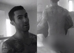 Adam Levine khoe vòng 3 trong MV mới của Maroon 5