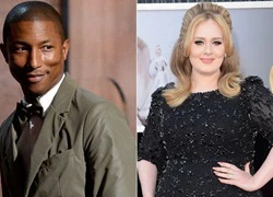 Adele bắt tay Pharrell Williams trong album sắp ra mắt