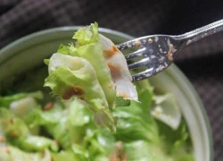 Ăn salad cá ngừ để giảm cân