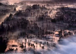 Ảnh đẹp cuộc thi Ảnh du lịch National Geographic 2015