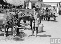 Ảnh độc về kế sinh nhai ở Sài Gòn năm 1950 (4)