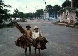 Ảnh màu độc về trẻ em miền Nam, Trung trước 1975