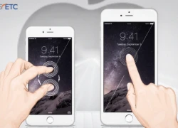 Apple sản xuất iPhone 6S từ tháng 7 với màn hình mới