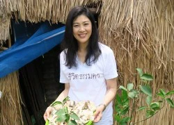 Bà Yingluck chuyển sang nghề trồng rau, ươm nấm?