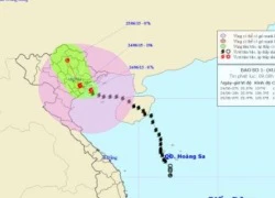 Bão số 1 cách bờ biển Quảng Ninh-Thái Bình 50km, gió giật cấp 11-12