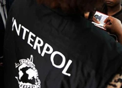 Bắt tên cướp bị Interpol truy nã