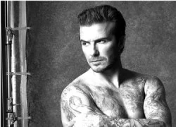 Beckham tập boxing để giữ phom chuẩn