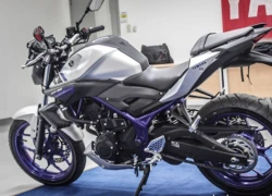 Cận cảnh xe côn tay Yamaha MT-25 hầm hố