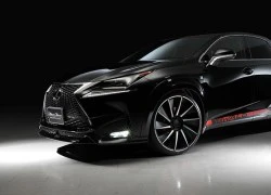 Cận cảnh xế hộp tiền tỷ Lexus NX độ phong cách thể thao