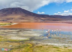 Cánh đồng muối Uyuni qua ống kính người Việt