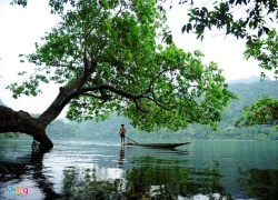 Cảnh sắc làm say lòng người ở hồ Ba Bể