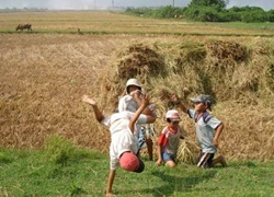 Cha mẹ chính là thủ phạm đánh cắp mùa hè tuyệt vời của con trẻ