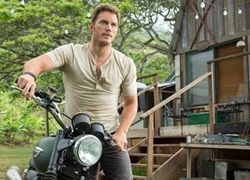 Chris Pratt sẽ góp mặt trong phần 5 'Thế giới khủng long'