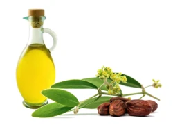 Có dầu jojoba, chuyện làm đẹp trở nên rất dịu dàng