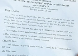 Đề thi vào lớp 10 bàn lẽ sống &#8220;dâng cho đời&#8221;