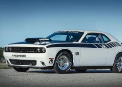 Đốt cháy đường đua cùng "gã cơ bắp" Dodge Challenger Drag Pak