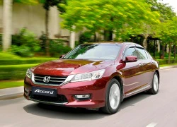 Honda Accord - Lựa chọn của những người cá tính