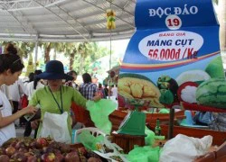 Khai mạc lễ hội trái cây Nam bộ năm 2015