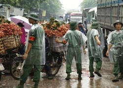 Khi người lính giúp bà con "chiến đấu" với... vải thiều