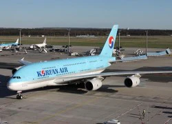 Korean Air đình chỉ nhiều chuyến bay quốc tế vì dịch MERS