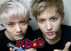 Kris và Luhan (EXO) chấp nhận hòa giải với SM