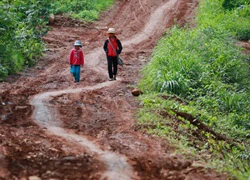 Dẻo dai đến trường