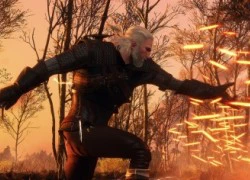 Max level trong The Witcher 3: Wild Hunt là chuyện không tưởng