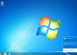 Miễn phí cập nhật Windows 10 từ ngày 29.7