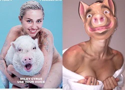 Miley Cyrus ôm lợn, khỏa thân trên bìa tạp chí