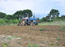 Nơi đầu tiên ban bố tình trạng thiên tai hạn hán đã có mưa giông