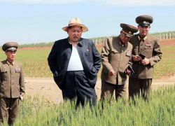 Ông Kim Jong-un tăng cân vì sushi và rượu vang đắt tiền