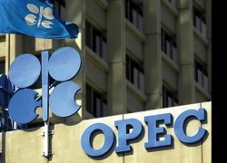 OPEC: Bất hòa được lập trình sẵn