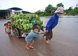 Phải &#8220;rửa gạo&#8221; trước