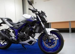 Ra mắt Yamaha MT-25 giá khoảng 75 triệu đồng