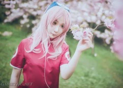 Sakura và Sasuke tình tứ bên vườn hoa anh đào