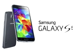 Samsung Galaxy S5 chuẩn bị lên Android Lollipop