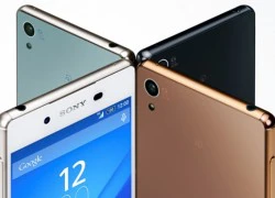 Sony Xperia Z3+ giá 17,99 triệu tại Việt Nam