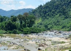 Vẻ đẹp hoang sơ nơi đại ngàn đất Quảng