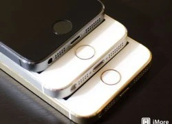 Vì sao Apple nên bỏ nút Home trên iPhone?