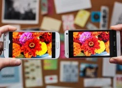 AMOLED và IPS: Màn hình nào tốt hơn?